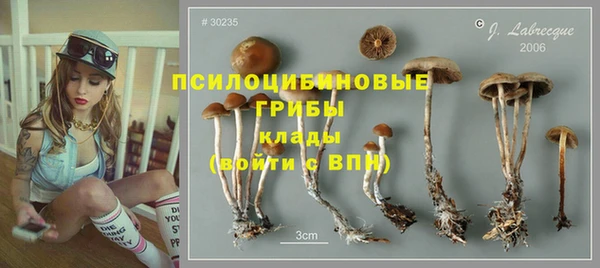 ГАЛЛЮЦИНОГЕННЫЕ ГРИБЫ Богданович