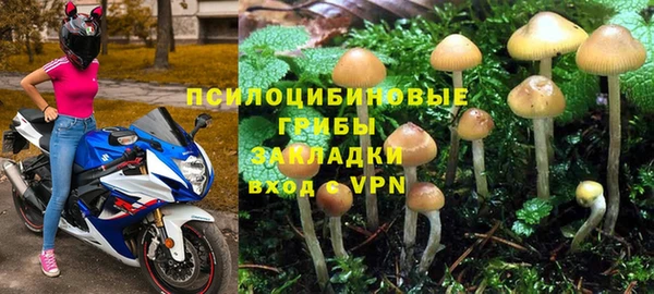 метадон Богородицк