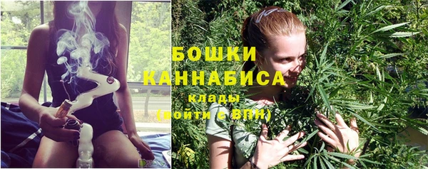 ГАЛЛЮЦИНОГЕННЫЕ ГРИБЫ Богданович