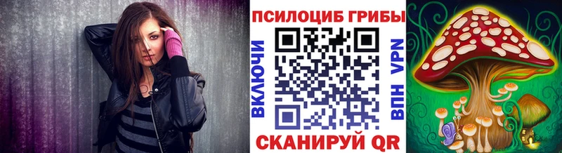 где продают наркотики  Михайловка  Галлюциногенные грибы Magic Shrooms 